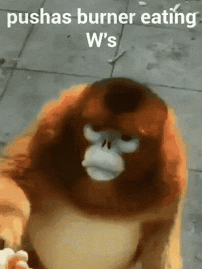 Monkey Saying Pushas Burner Eating W's GIF