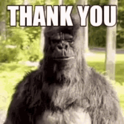 Monkey Saying Thank You