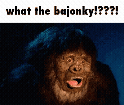 Monkey Saying What The Bajonky GIF