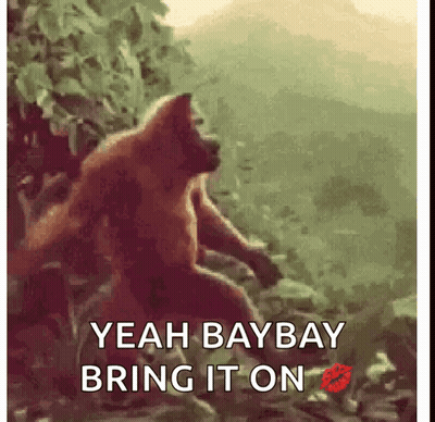 Monkey Saying Yeah Baybay GIF