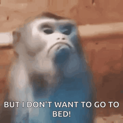 Monkey Says Don't Want To Go To Bed GIF