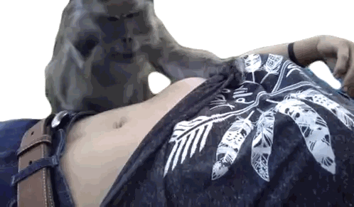 Monkey Scratching Woman's Stomach Sticker