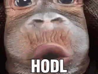 Monkey Shirt Hodl GIF