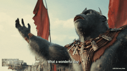 Monkey Shouting What A Wonderful Day GIF