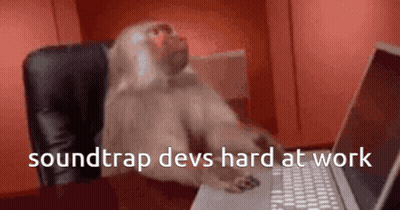 Monkey Sitting At Laptop Soundtrap Devs Hard At Work GIF
