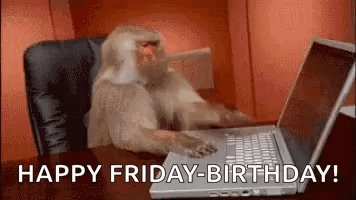 Monkey Sitting At Laptop GIF