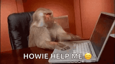 Monkey Sitting At Laptop GIF