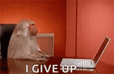 Monkey Sitting At Table Using Laptop GIF