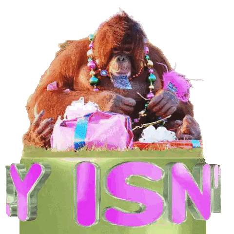 Monkey Sitting In Box That Says Y Isn Sticker