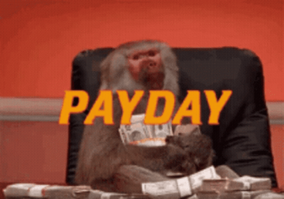 Monkey Sitting In Chair Holding Money With Payday GIF