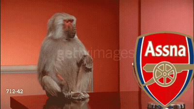 Monkey Sitting In Front Of Arsenal Logo GIF