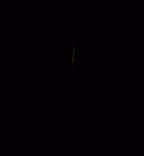 Monkey Sitting Inside Banana Peel GIF