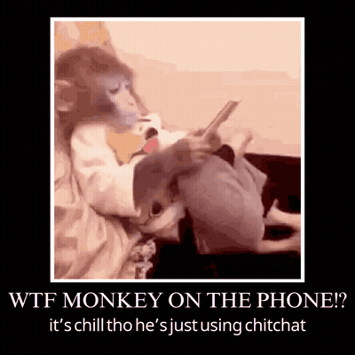 Monkey Sitting On Couch Holding Cell Phone GIF
