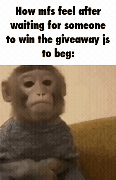 Monkey Sitting On Couch Waiting For Giveaway GIF