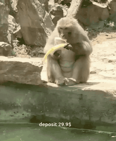 Monkey Sitting On Rock Eating Banana 29.95 Dollar Deposit GIF