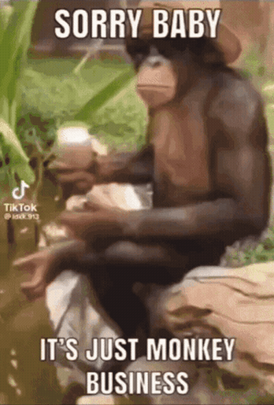 Monkey Sitting On Rock Holding Coffee Sorry Baby It's Just Monkey Business GIF