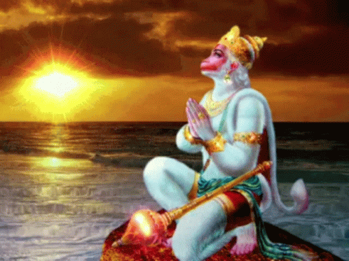 Monkey Sitting on Rock in Front of Sunset