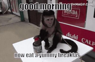 Monkey Sitting On Table Saying Good Morning Now Eat A Yummy Breakfast GIF