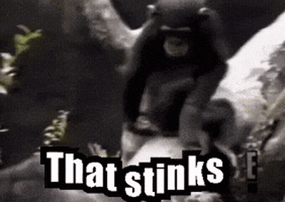 Monkey Sitting On Tree Branch Saying That Stinks GIF