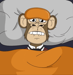 Monkey Sleep And Beautiful Good Night GIF