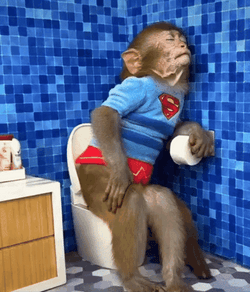 Monkey Sleeping In Bathroom GIF