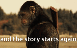 Monkey So It Begins GIF