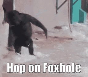 Monkey Spinning Hop On Foxhole GIF