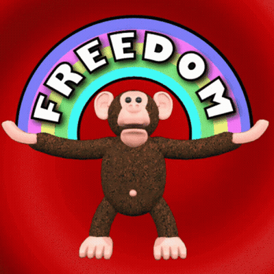 Monkey Standing In Front Of Rainbow Saying Freedom GIF