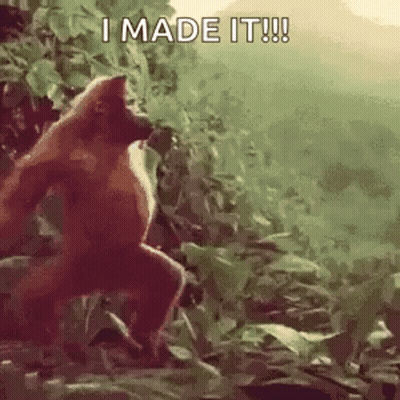Monkey Standing In Jungle Saying I Made It GIF