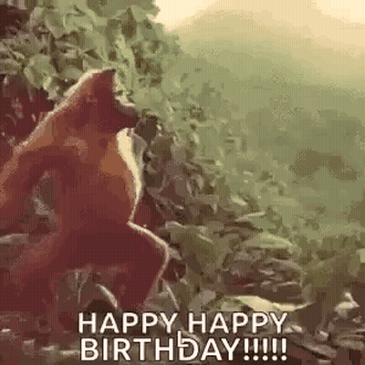 Monkey Standing In Woods Saying Happy Happy Birthday GIF