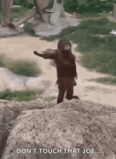 Monkey Standing On Rock In Zoo GIF