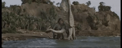 Monkey Standing On Tree Trunk In Water GIF