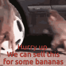 Monkey Stealing Tire For Selling GIF