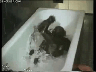 Monkey Swimming Happily GIF