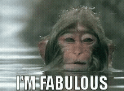Monkey Swimming I'm Fabulous GIF