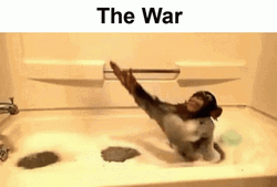 Monkey Swimming In A Tub The War GIF