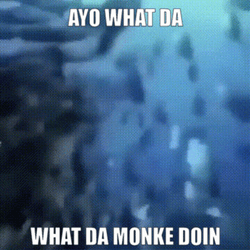 Monkey Swimming In The Deep Ocean GIF