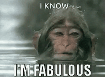 Monkey Swimming With I Know I'm Fabulous GIF