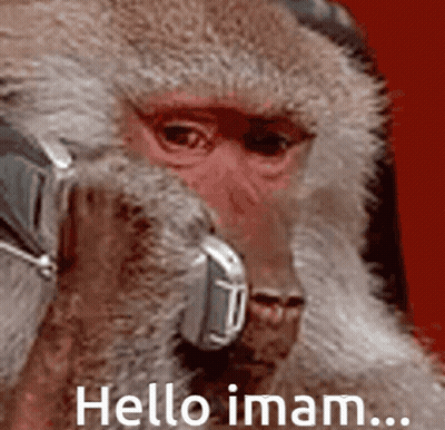 Monkey Talking On Cell Phone Hello Imam GIF