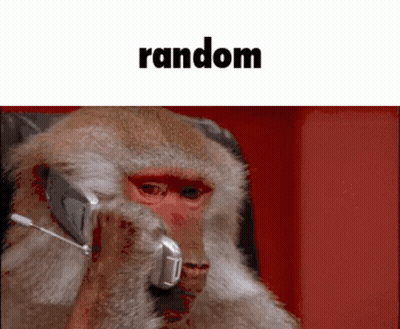 Monkey Talking On Cell Phone Saying Random GIF