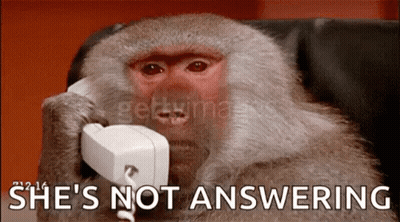 Monkey Talking On Phone Saying She's Not Answering GIF