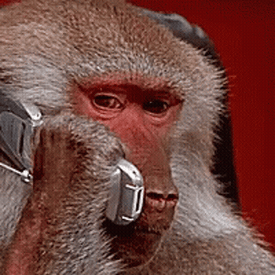 Monkey Talking On Phone GIF