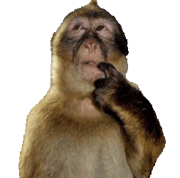 Monkey Thinking Meme Monkey Thinking Sticker Sticker GIF