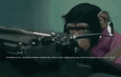 Monkey Typing Keyboard Fast GIF