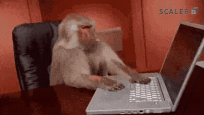 Monkey Typing On Laptop GIF