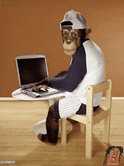 Monkey Typing On Laptop GIF