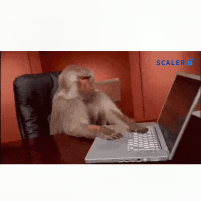 Monkey Typing On Laptop With Scaler Logo GIF