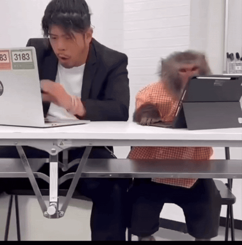 Monkey Typing On Laptop With Scaler Logo GIF
