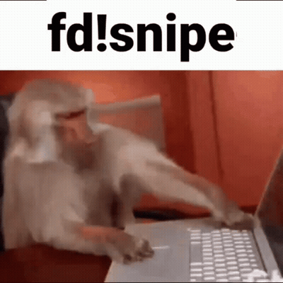 Monkey Using Laptop With FD Snipe Above GIF