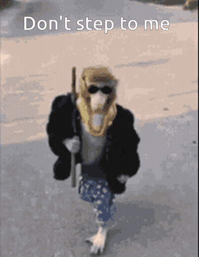 Monkey Walking Don T Step To Me GIF